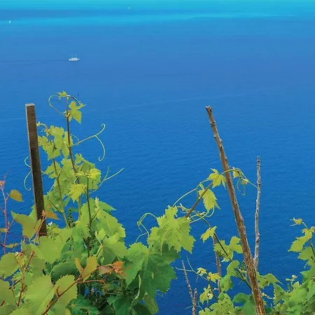 With Sea View I Sreser